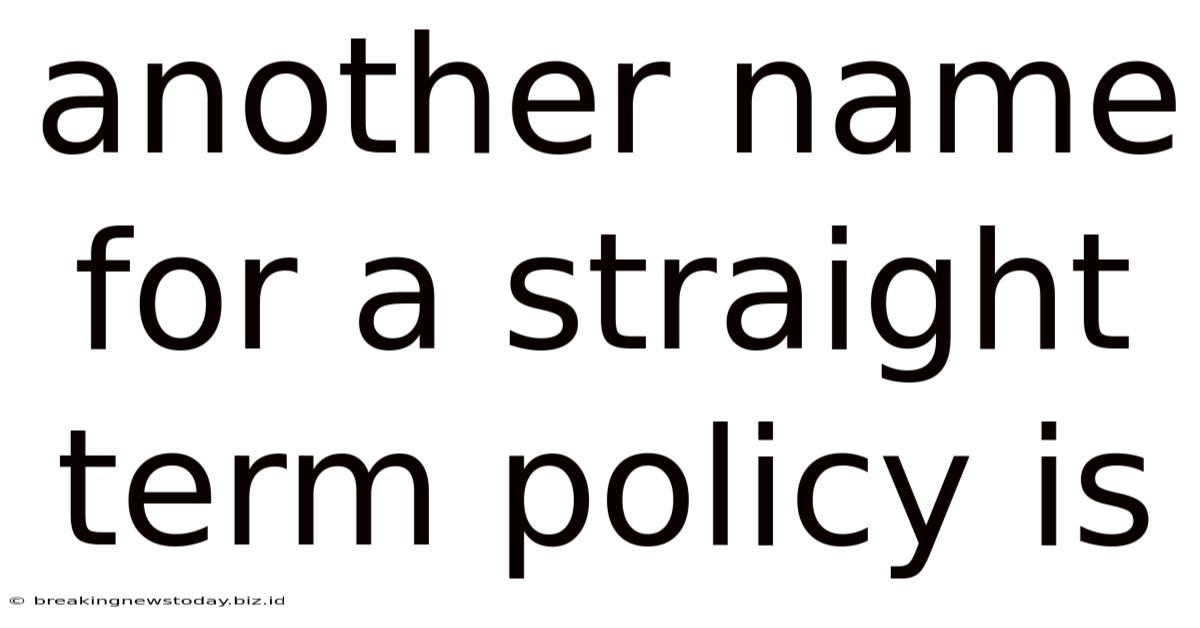 Another Name For A Straight Term Policy Is