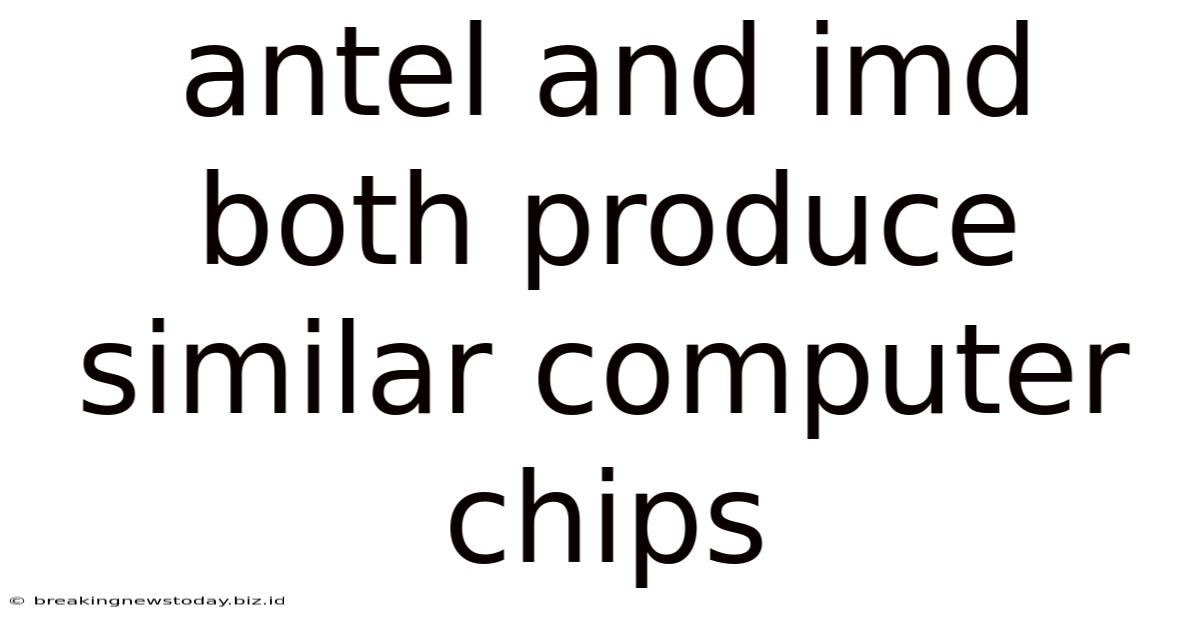 Antel And Imd Both Produce Similar Computer Chips