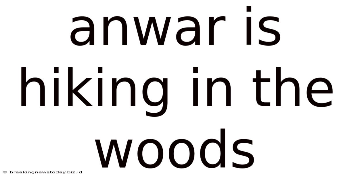 Anwar Is Hiking In The Woods