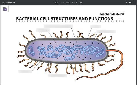 Archaea Differ From Bacteria In That Archaea Quizlet