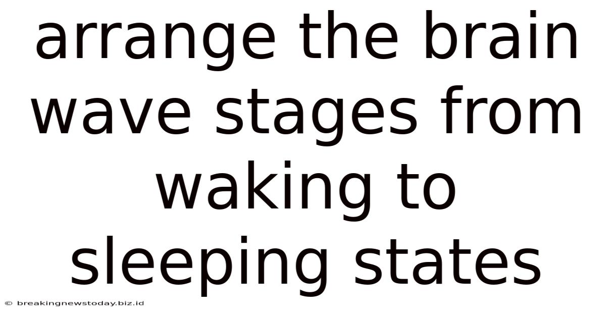 Arrange The Brain Wave Stages From Waking To Sleeping States