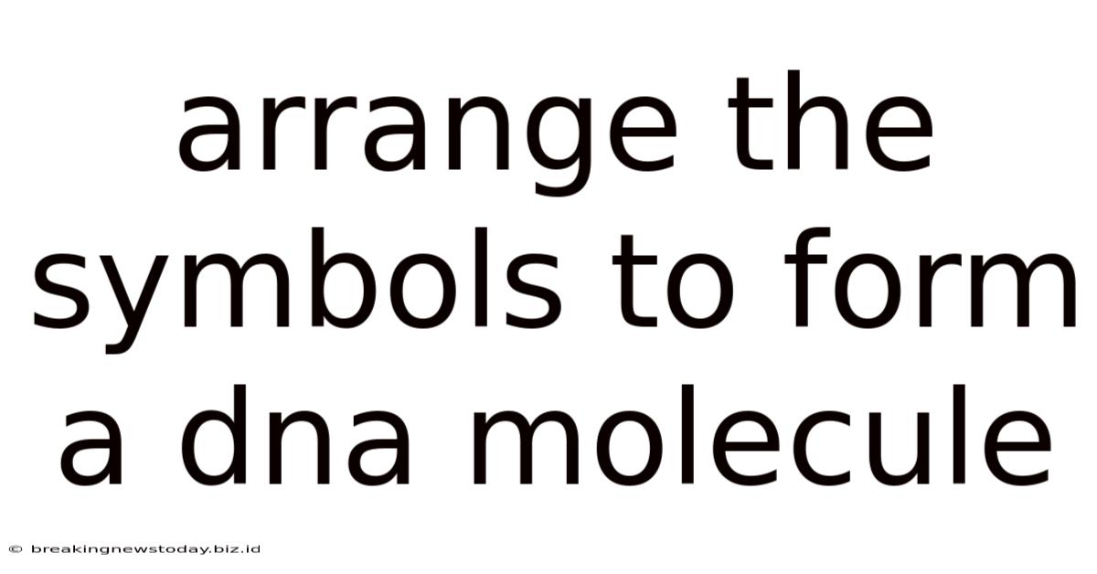 Arrange The Symbols To Form A Dna Molecule