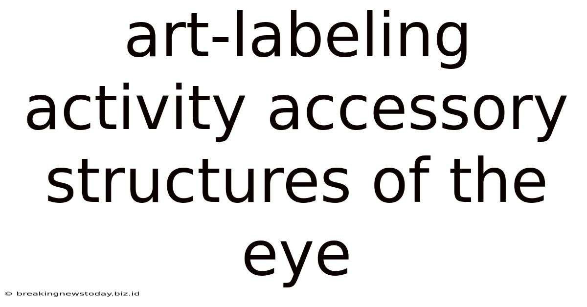 Art-labeling Activity Accessory Structures Of The Eye