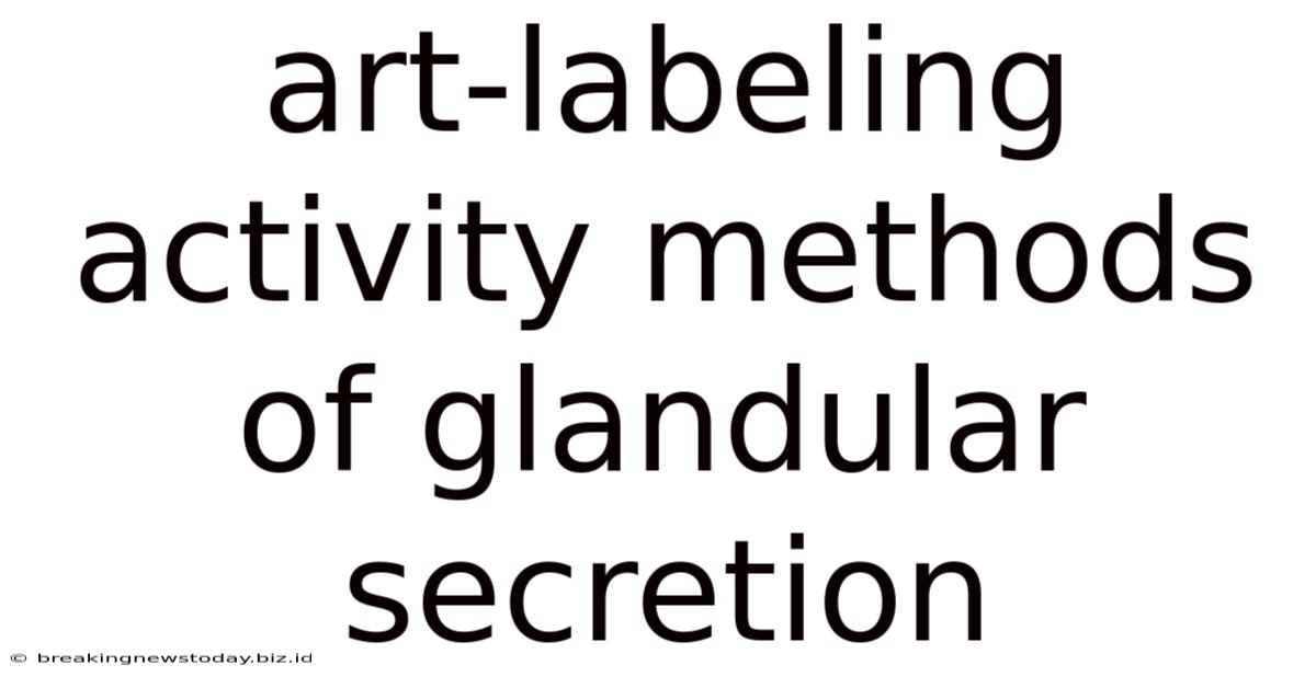 Art-labeling Activity Methods Of Glandular Secretion