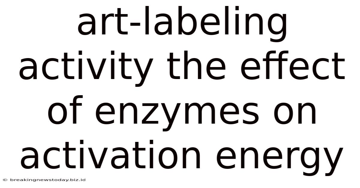 Art-labeling Activity The Effect Of Enzymes On Activation Energy