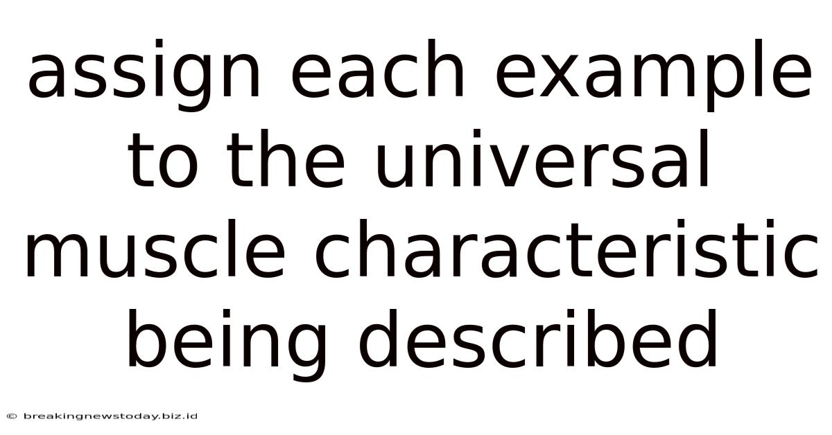 Assign Each Example To The Universal Muscle Characteristic Being Described