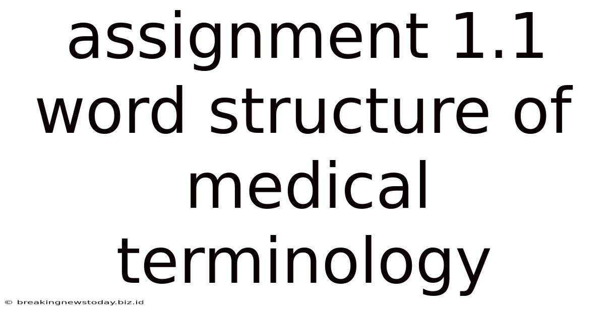 Assignment 1.1 Word Structure Of Medical Terminology