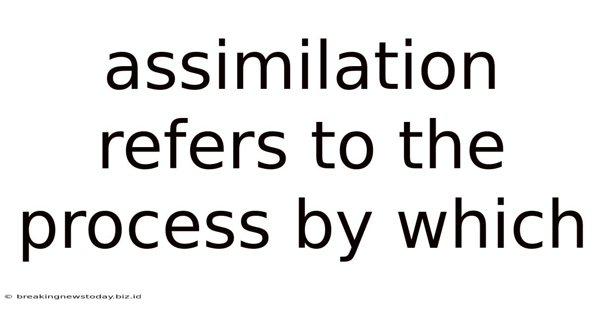 Assimilation Refers To The Process By Which