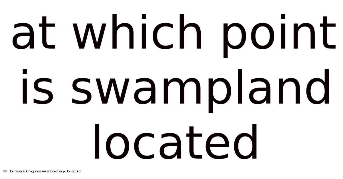 At Which Point Is Swampland Located