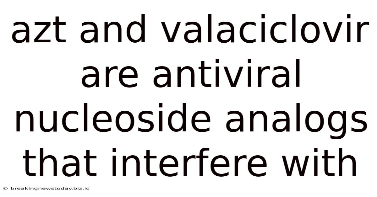 Azt And Valaciclovir Are Antiviral Nucleoside Analogs That Interfere With