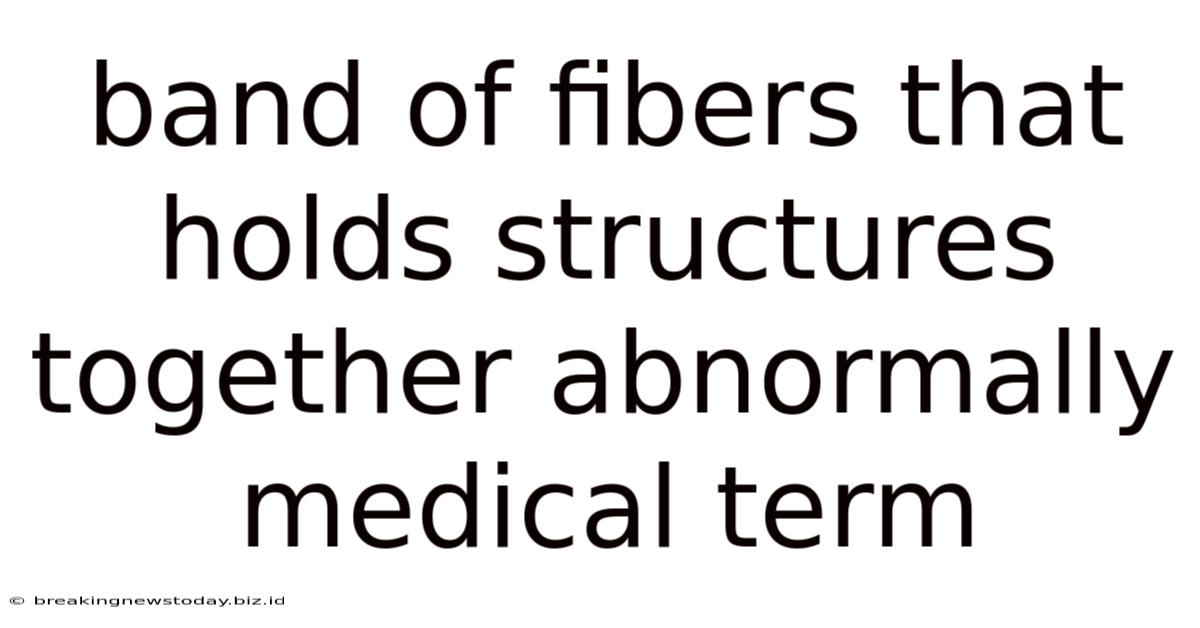 Band Of Fibers That Holds Structures Together Abnormally Medical Term