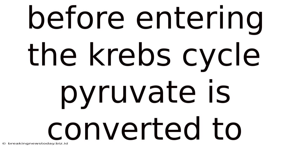 Before Entering The Krebs Cycle Pyruvate Is Converted To
