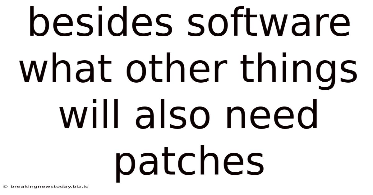 Besides Software What Other Things Will Also Need Patches