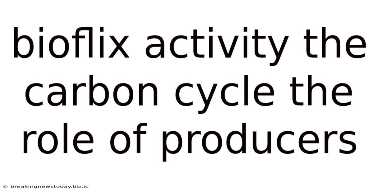 Bioflix Activity The Carbon Cycle The Role Of Producers