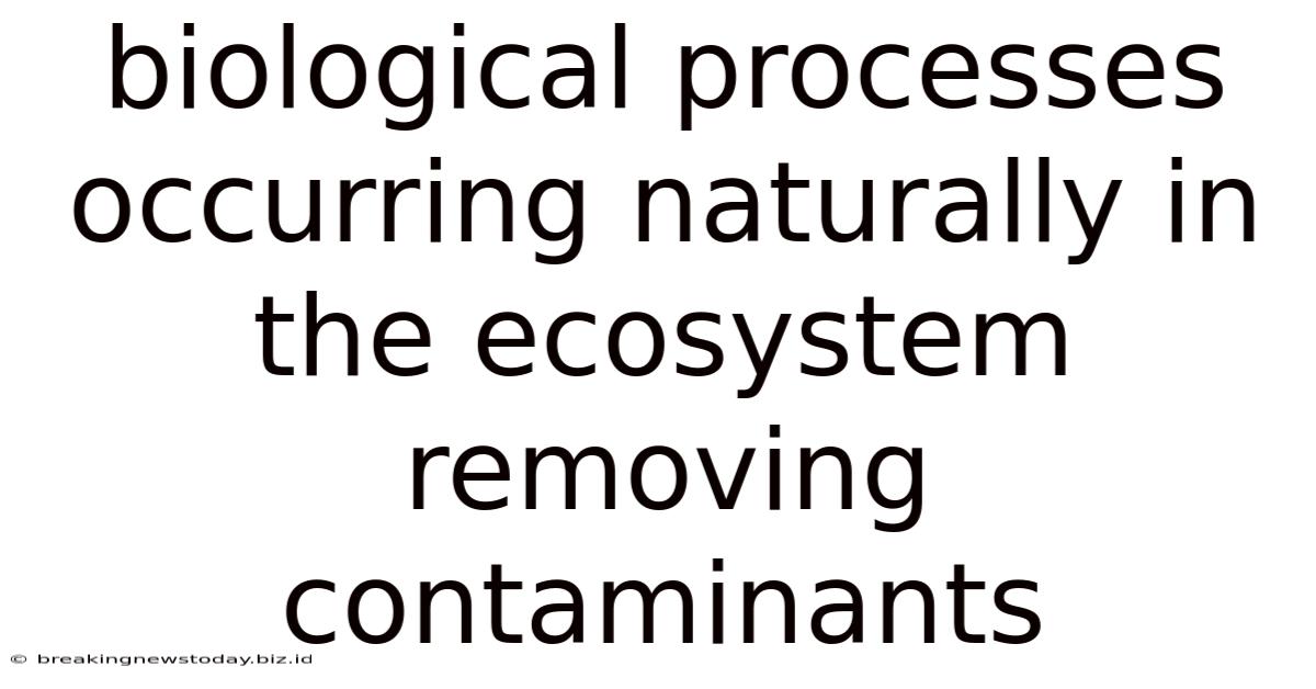 Biological Processes Occurring Naturally In The Ecosystem Removing Contaminants