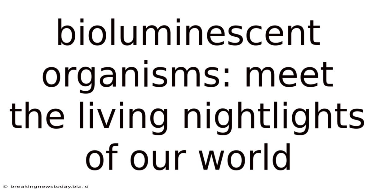 Bioluminescent Organisms: Meet The Living Nightlights Of Our World