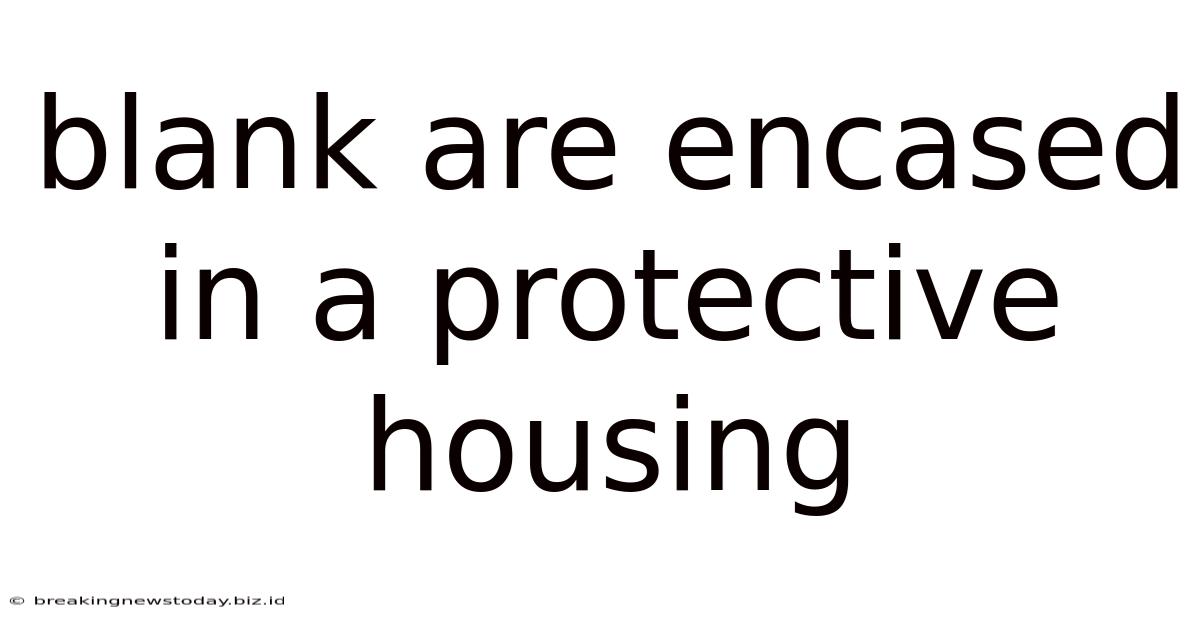 Blank Are Encased In A Protective Housing
