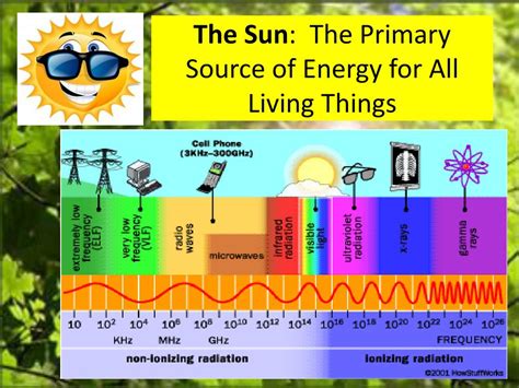 Blank Is Lifes Primary Source Of Energy