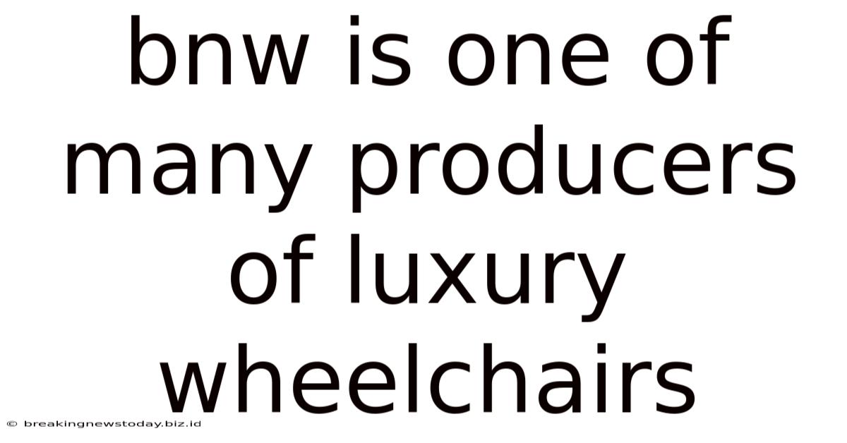 Bnw Is One Of Many Producers Of Luxury Wheelchairs