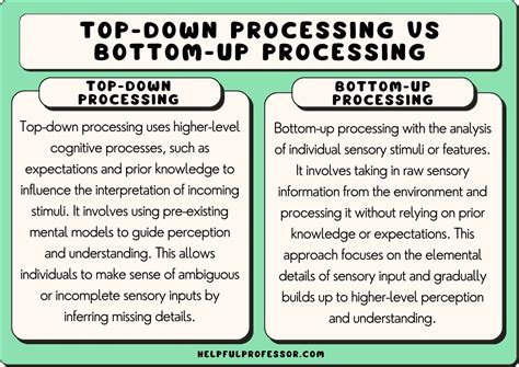 Bottom Up Processing Involves Analysis That Begins With The