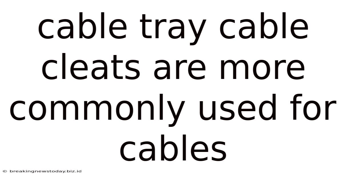 Cable Tray Cable Cleats Are More Commonly Used For Cables