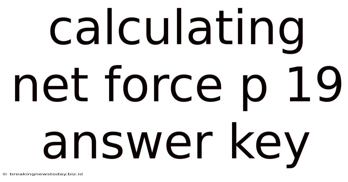 Calculating Net Force P 19 Answer Key