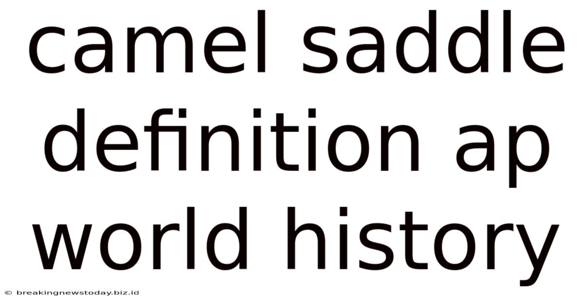Camel Saddle Definition Ap World History