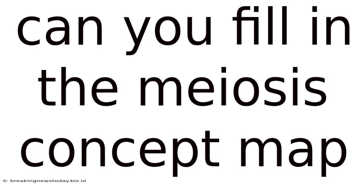 Can You Fill In The Meiosis Concept Map