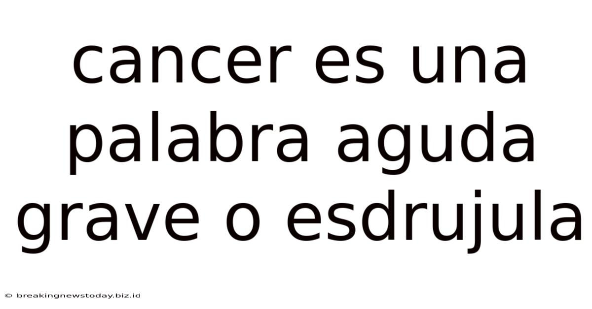 Cancer Es Una Palabra Aguda Grave O Esdrujula