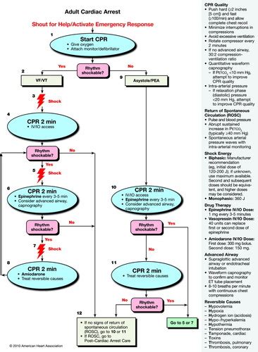 Cardiac Arrest Is Often Due To A Blockage Quizlet