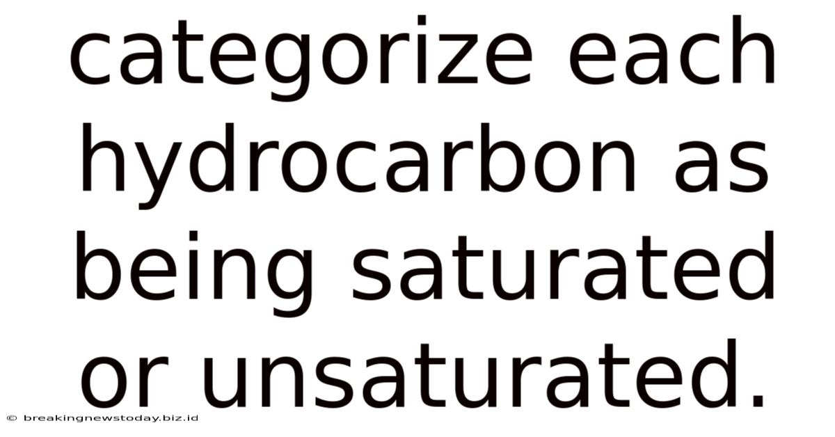 Categorize Each Hydrocarbon As Being Saturated Or Unsaturated.