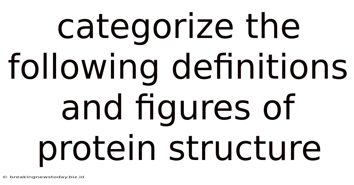 Categorize The Following Definitions And Figures Of Protein Structure