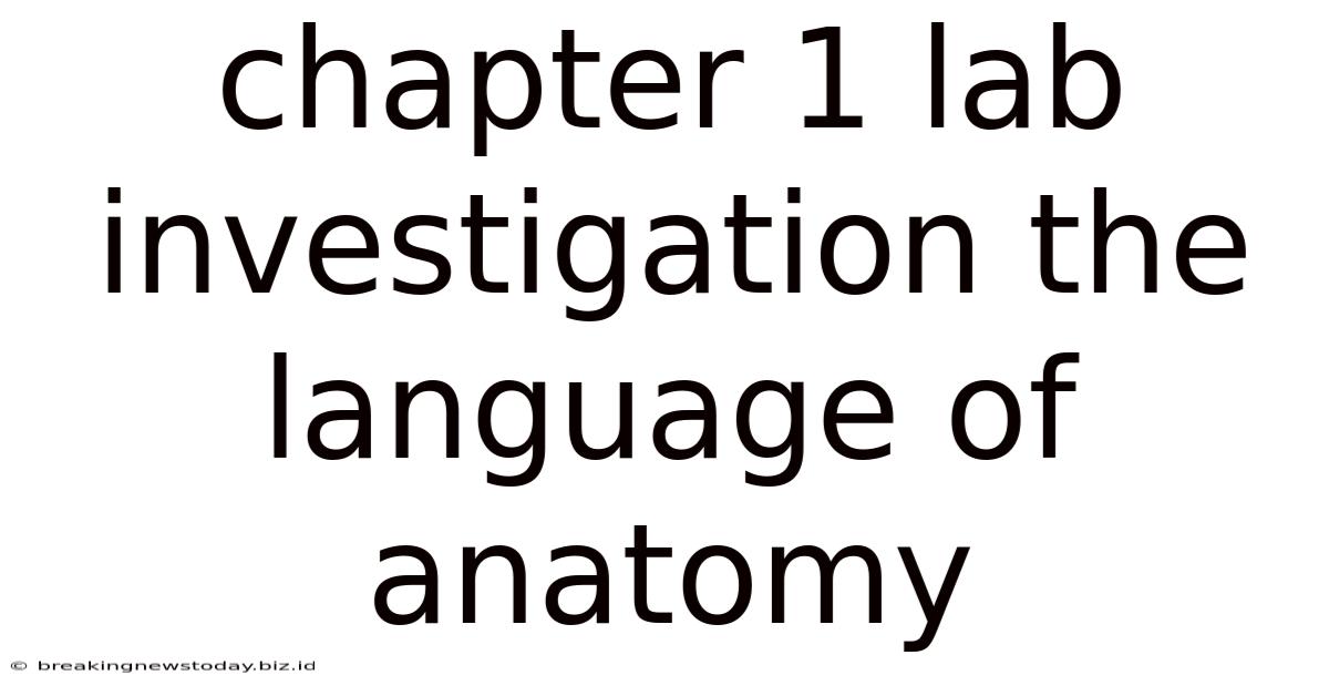 Chapter 1 Lab Investigation The Language Of Anatomy