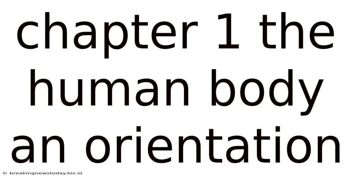 Chapter 1 The Human Body An Orientation