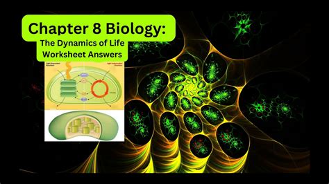 Chapter 8 Biology The Dynamics Of Life Worksheet Answers