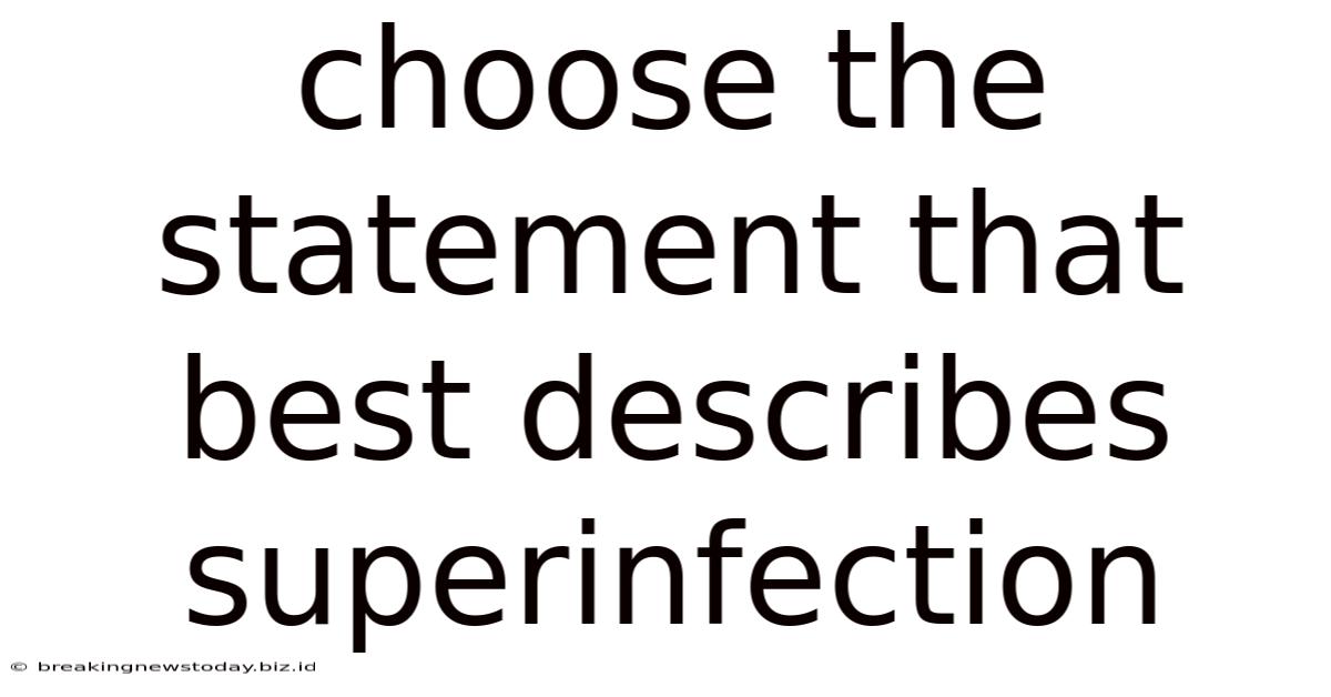 Choose The Statement That Best Describes Superinfection