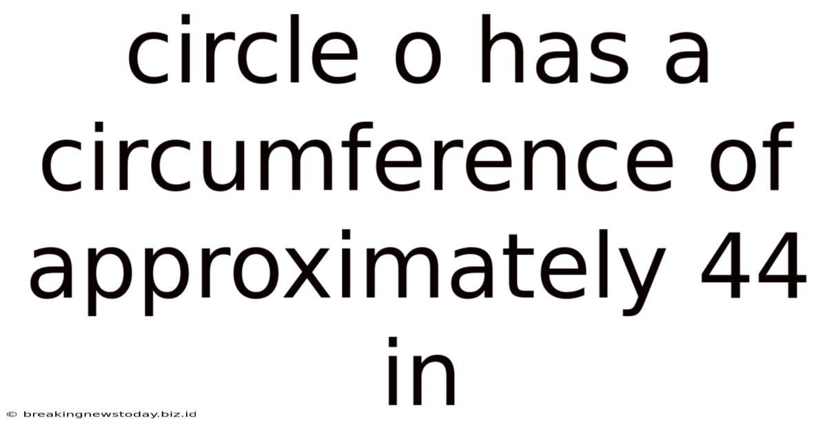 Circle O Has A Circumference Of Approximately 44 In