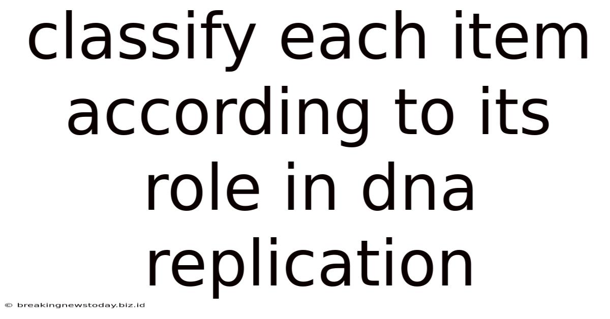 Classify Each Item According To Its Role In Dna Replication