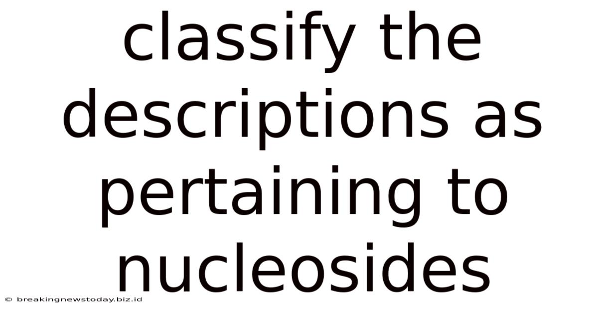 Classify The Descriptions As Pertaining To Nucleosides