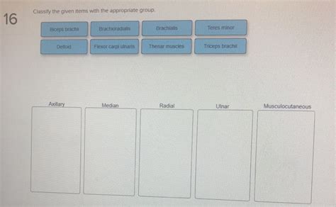 Classify The Given Items With The Appropriate Group.