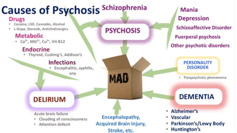 Common Causes Of Acute Psychotic Behavior Quizlet