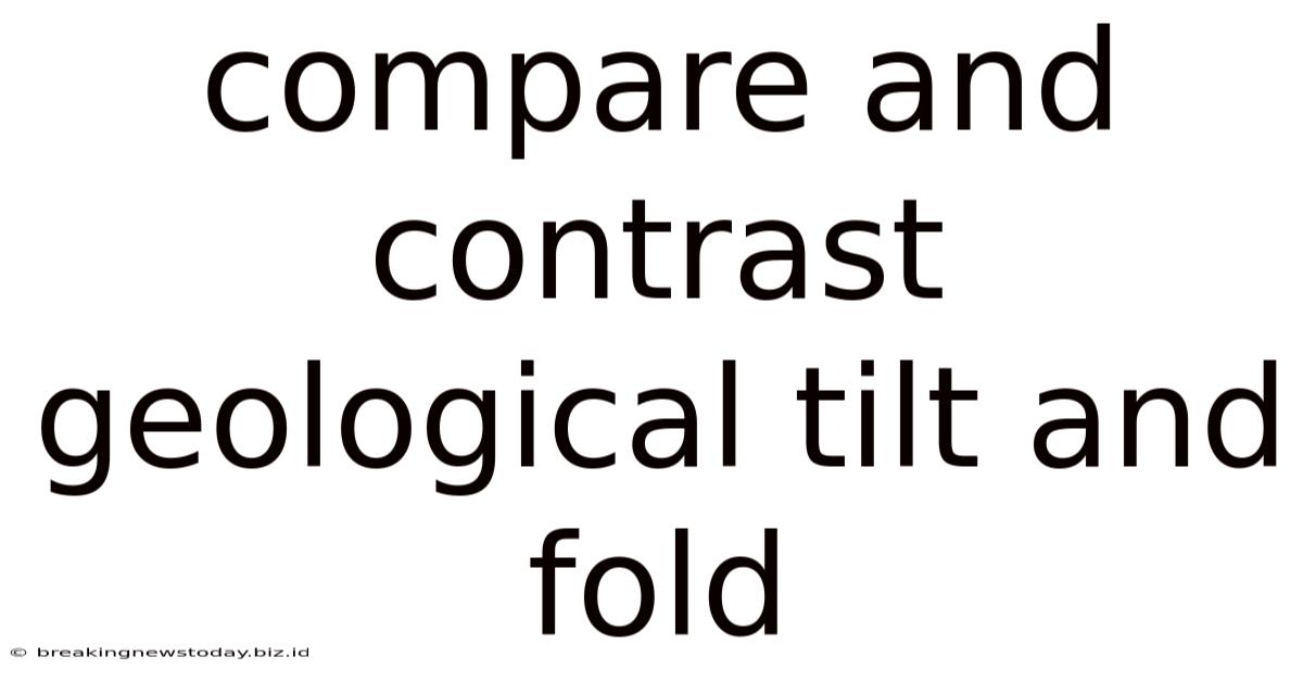 Compare And Contrast Geological Tilt And Fold