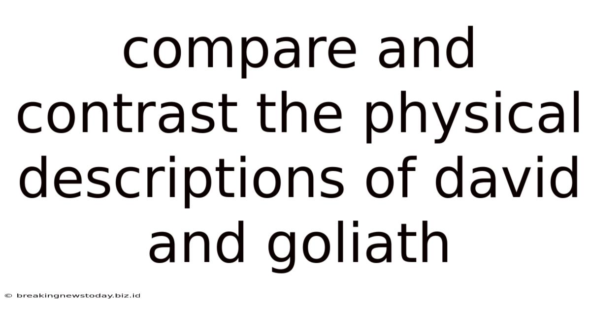 Compare And Contrast The Physical Descriptions Of David And Goliath