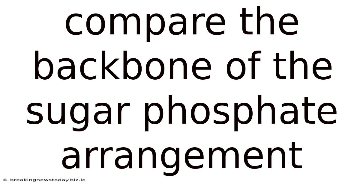 Compare The Backbone Of The Sugar Phosphate Arrangement
