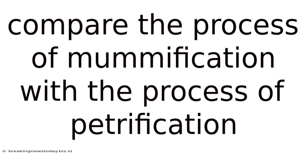 Compare The Process Of Mummification With The Process Of Petrification