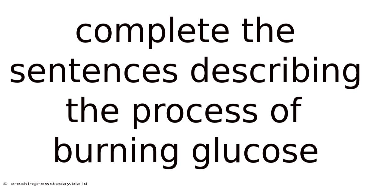 Complete The Sentences Describing The Process Of Burning Glucose