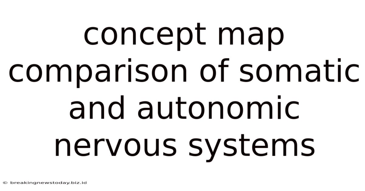 Concept Map Comparison Of Somatic And Autonomic Nervous Systems