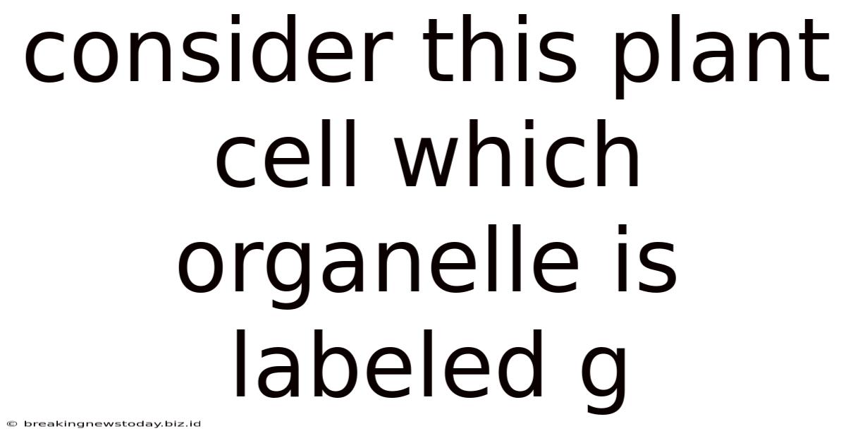 Consider This Plant Cell Which Organelle Is Labeled G