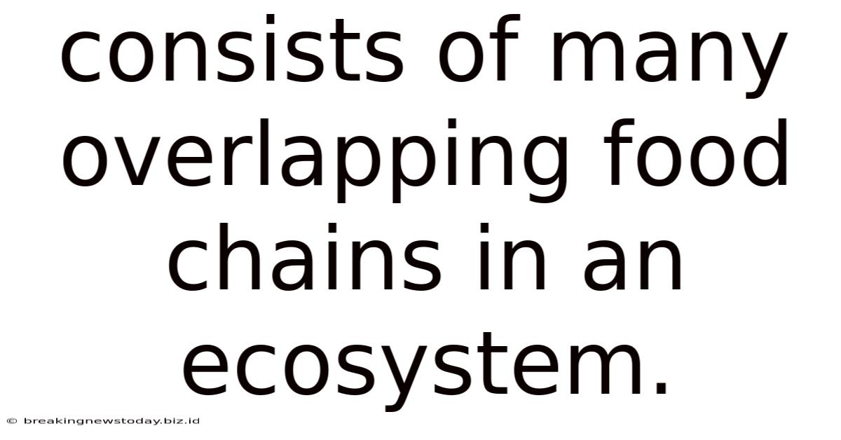 Consists Of Many Overlapping Food Chains In An Ecosystem.