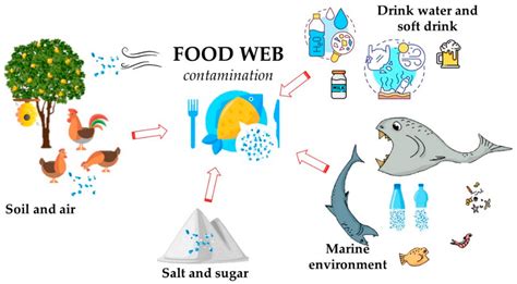 Contamination Of Food By Other Living Organisms